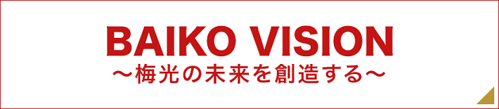 Baiko Vision