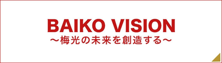 BAIKO VISION