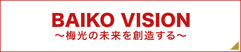 BAIKO VISION