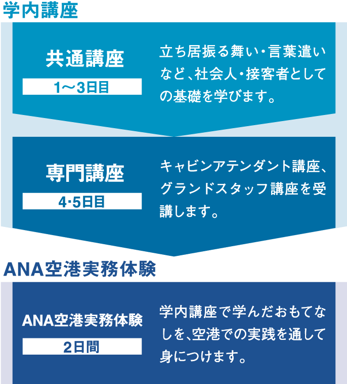 学内講座1~3日目 共通講座 立ち居振る舞い・言葉遣いなど、社会人・接客者としての基礎を学びます。学内講座4・5日目 専門講座 キャビンアテンダント講座、グランドスタッフ講座を受講します。ANA空港実務体験 2日間 ANA空港実務体験 学内講座で学んだおもてなしを、空港での実践を通して身につけます。